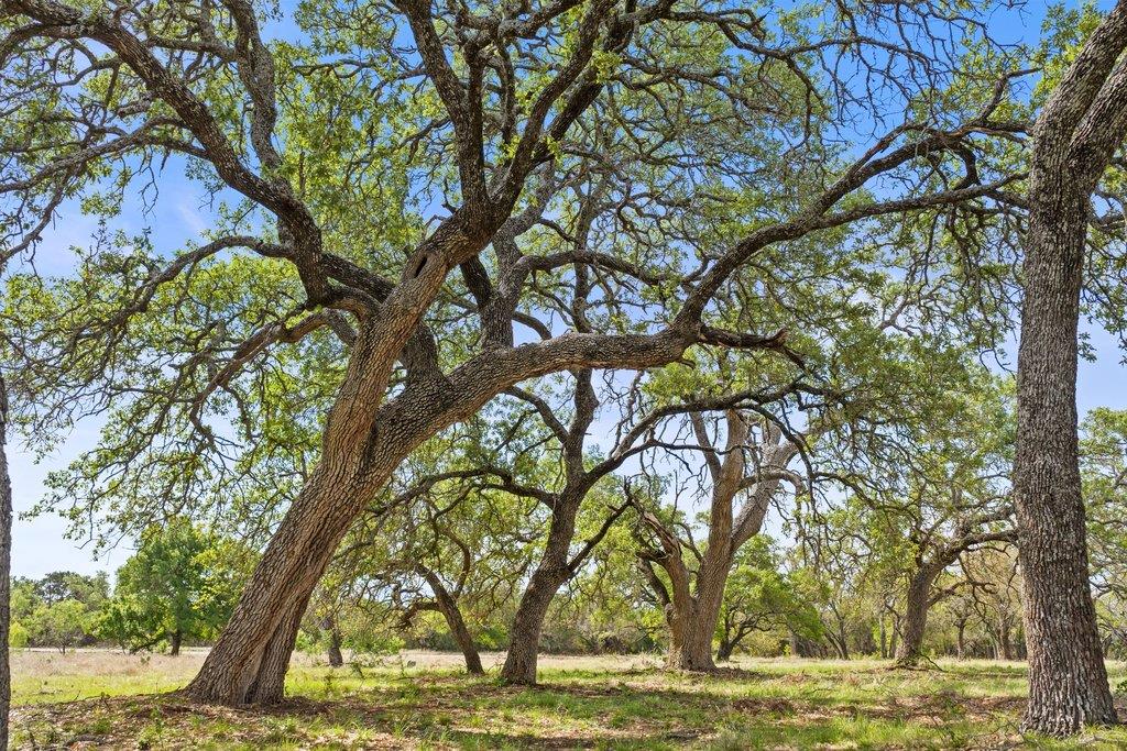 4772-10 County Road 340, Burnet, TX 78611