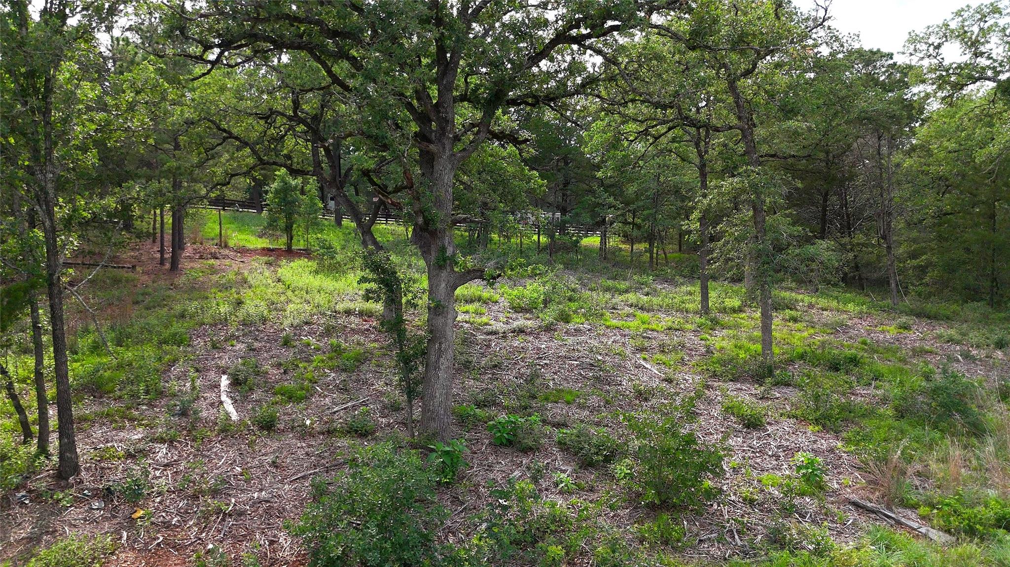 200 Cheyenne Dr, Smithville, TX 78957