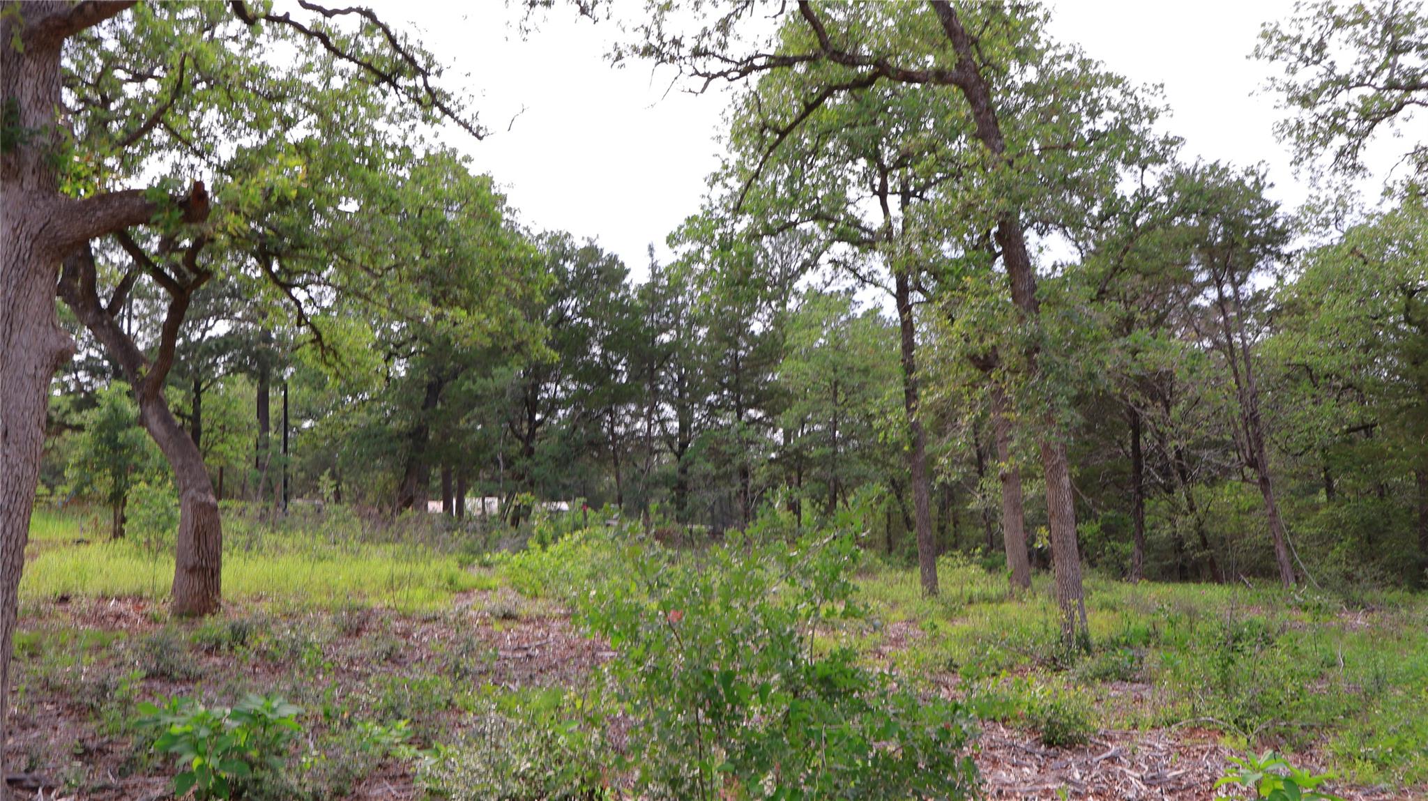 200 Cheyenne Dr, Smithville, TX 78957