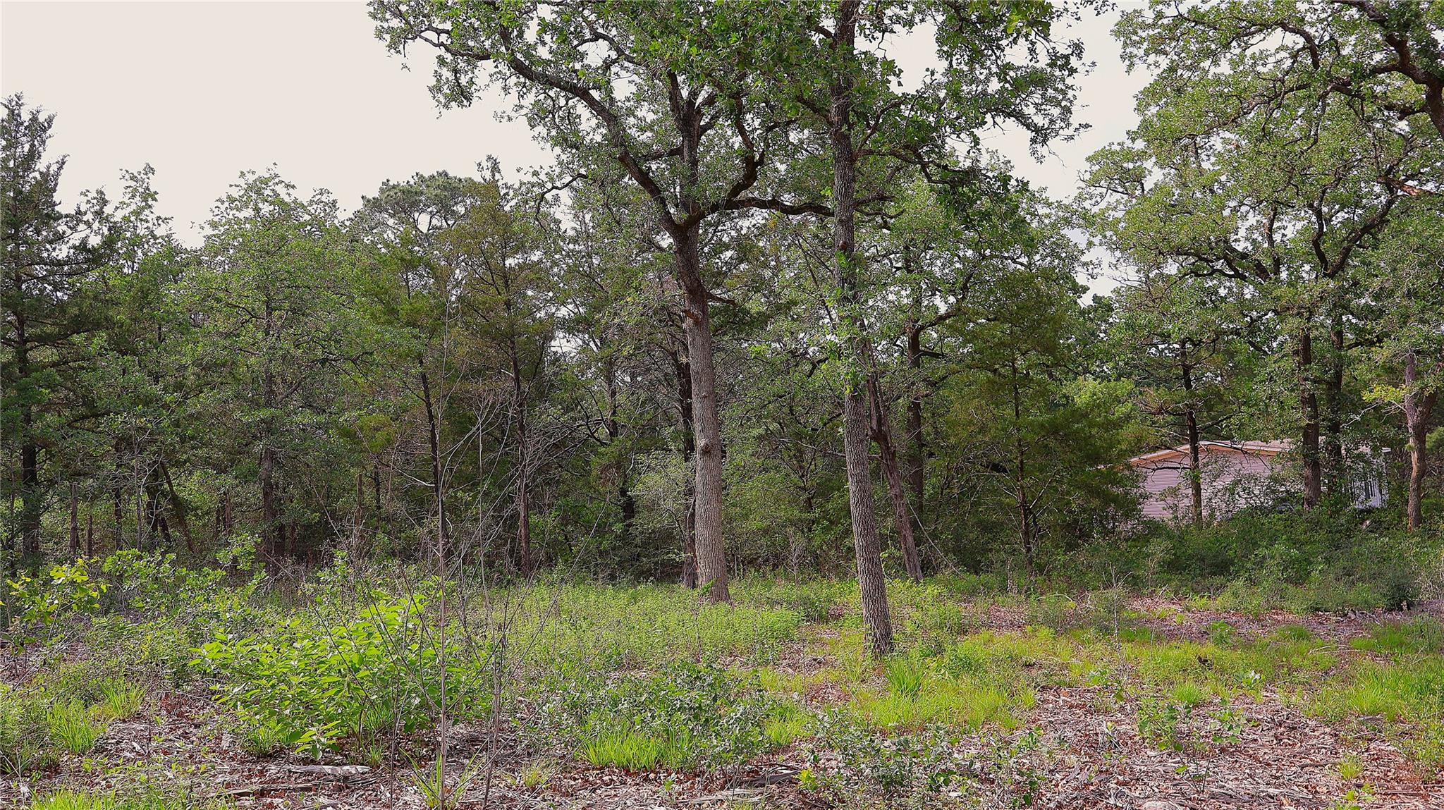200 Cheyenne Dr, Smithville, TX 78957
