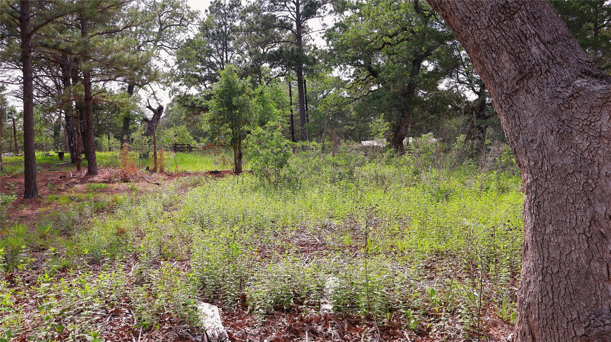 200 Cheyenne Dr, Smithville, TX 78957