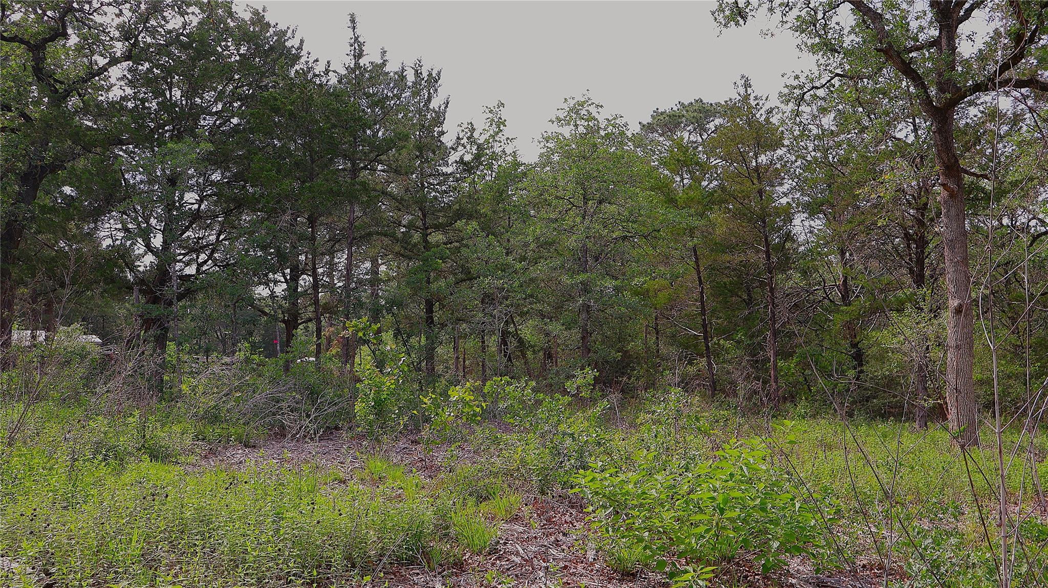 200 Cheyenne Dr, Smithville, TX 78957