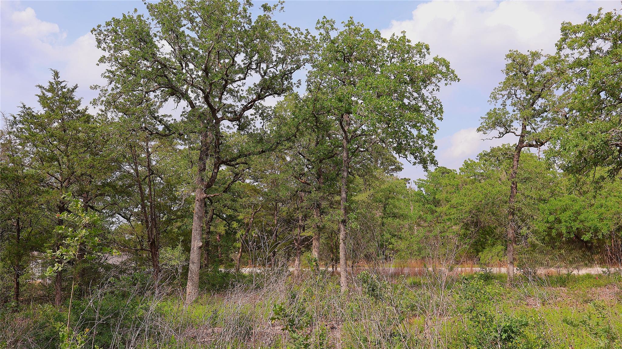 200 Cheyenne Dr, Smithville, TX 78957