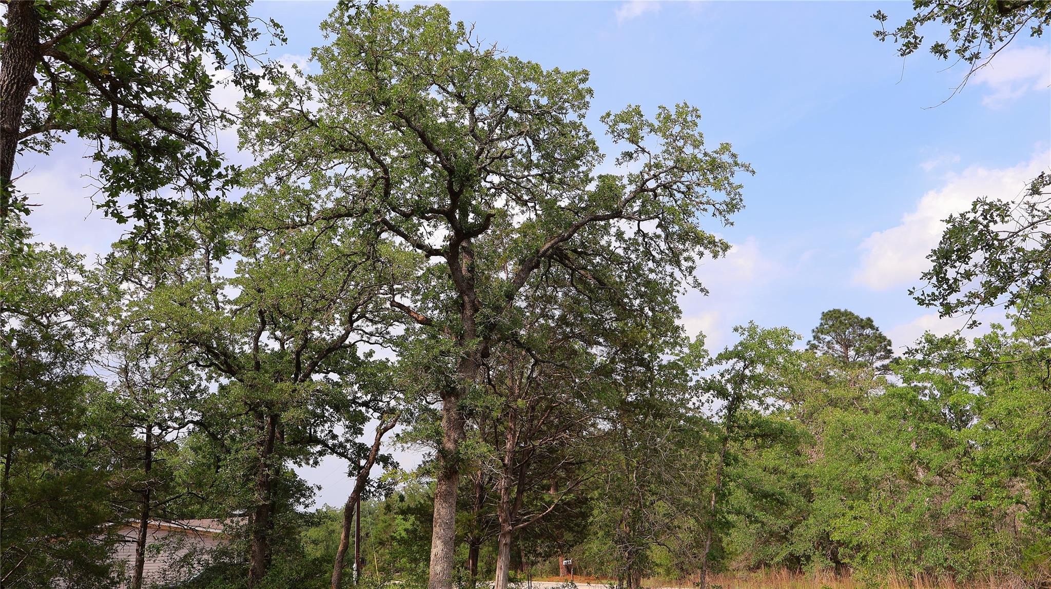 200 Cheyenne Dr, Smithville, TX 78957
