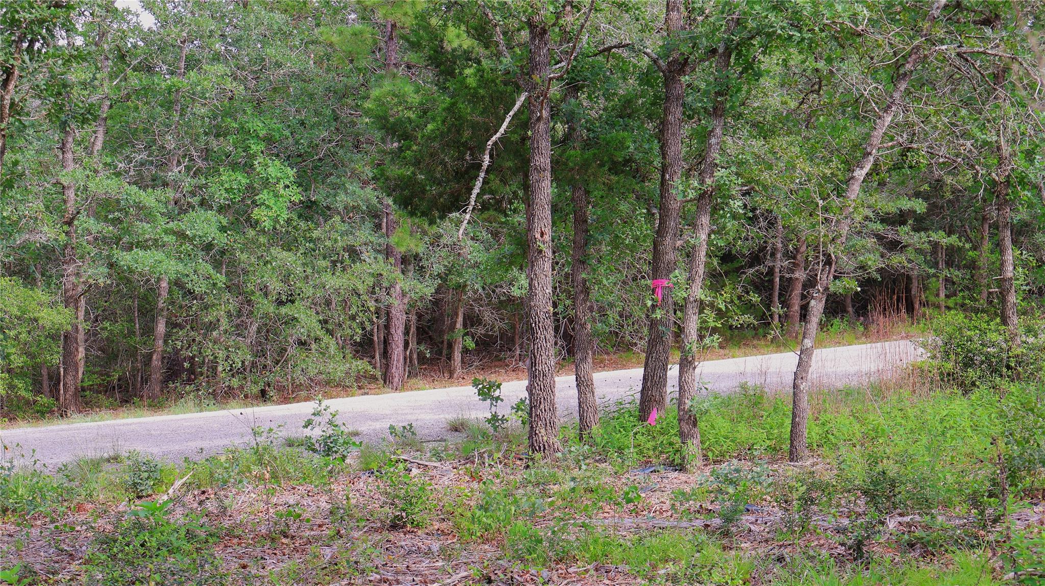 200 Cheyenne Dr, Smithville, TX 78957