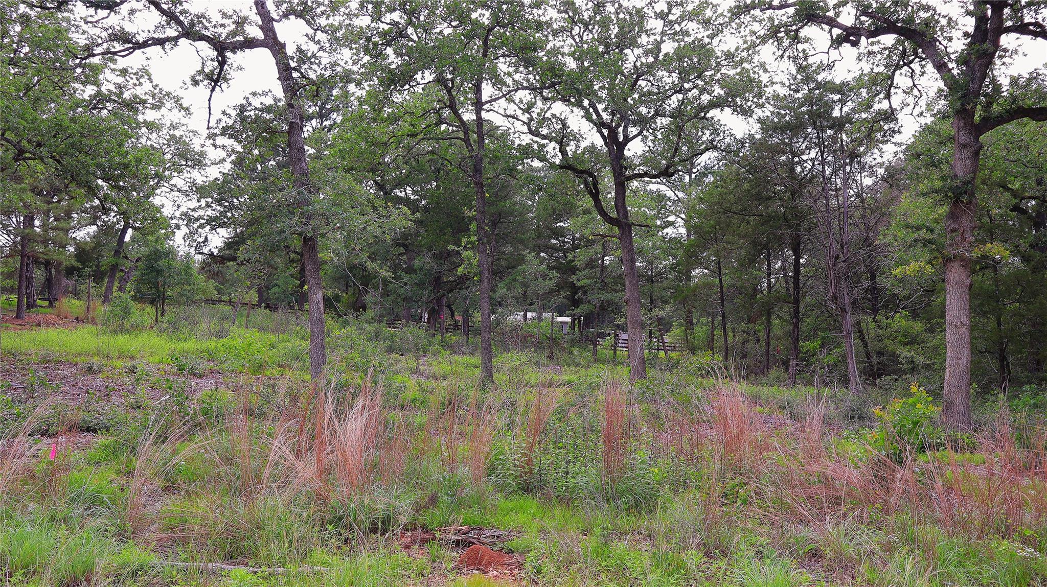 200 Cheyenne Dr, Smithville, TX 78957
