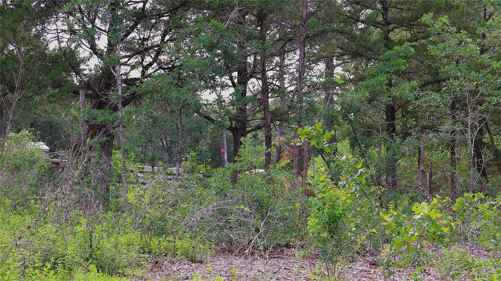 200 Cheyenne Dr, Smithville, TX 78957