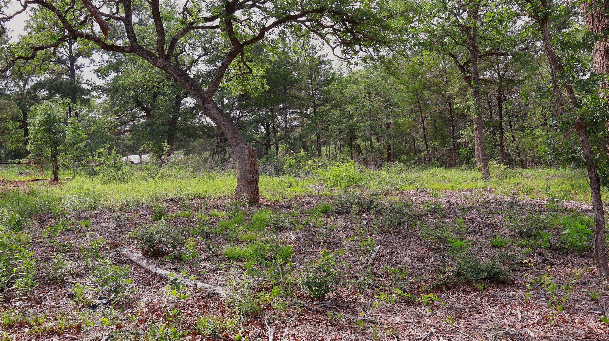 200 Cheyenne Dr, Smithville, TX 78957