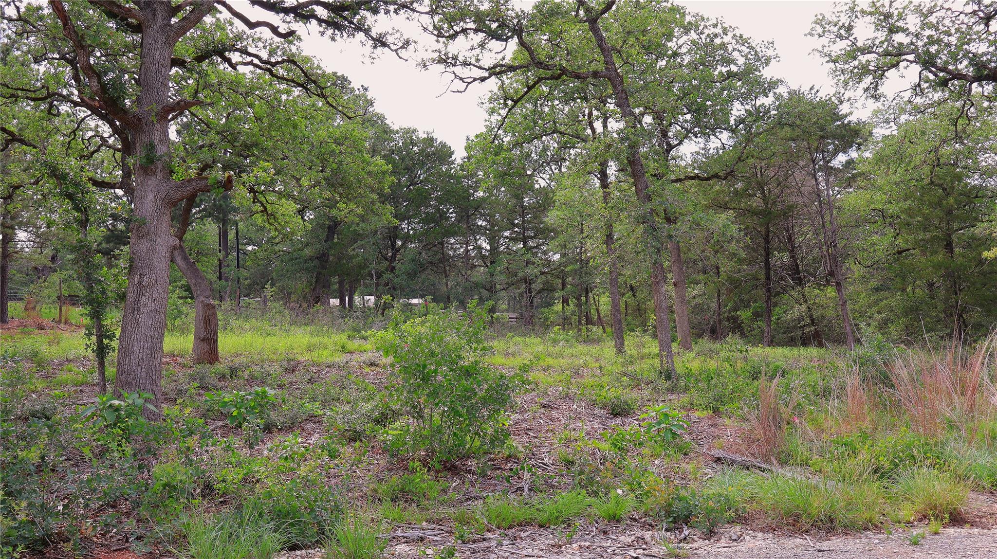 200 Cheyenne Dr, Smithville, TX 78957