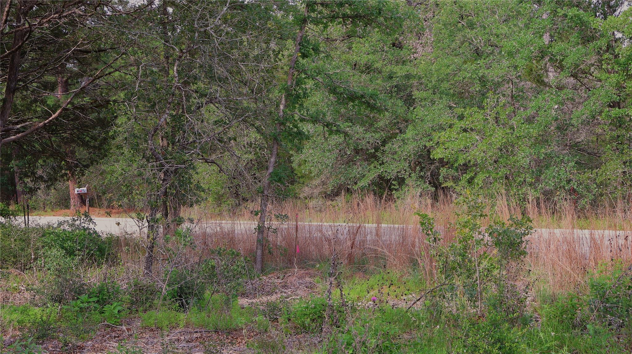 200 Cheyenne Dr, Smithville, TX 78957