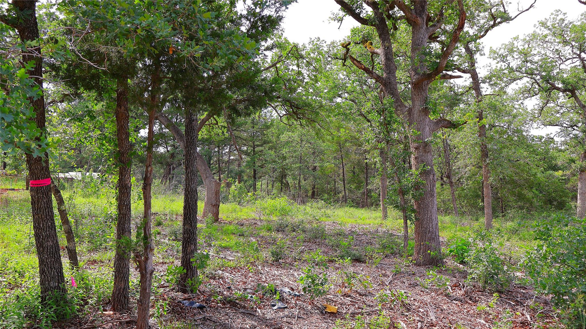 200 Cheyenne Dr, Smithville, TX 78957