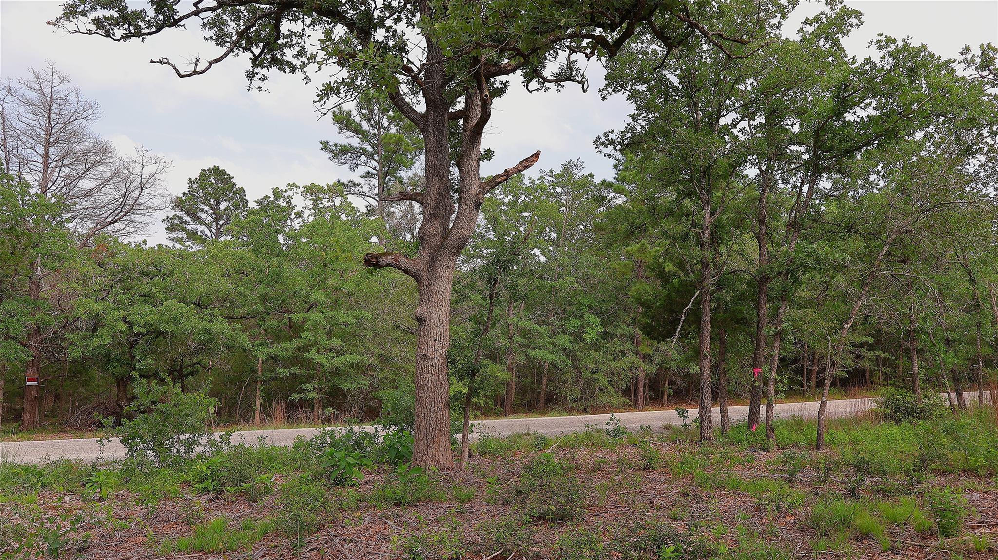 200 Cheyenne Dr, Smithville, TX 78957