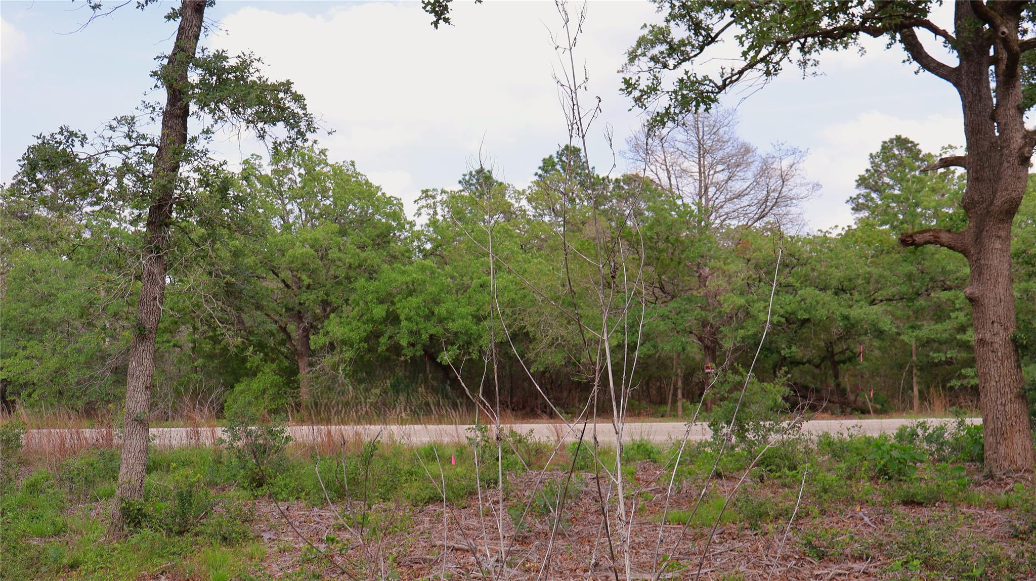 200 Cheyenne Dr, Smithville, TX 78957