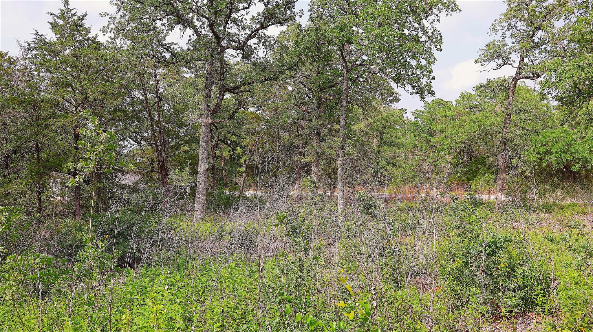 200 Cheyenne Dr, Smithville, TX 78957