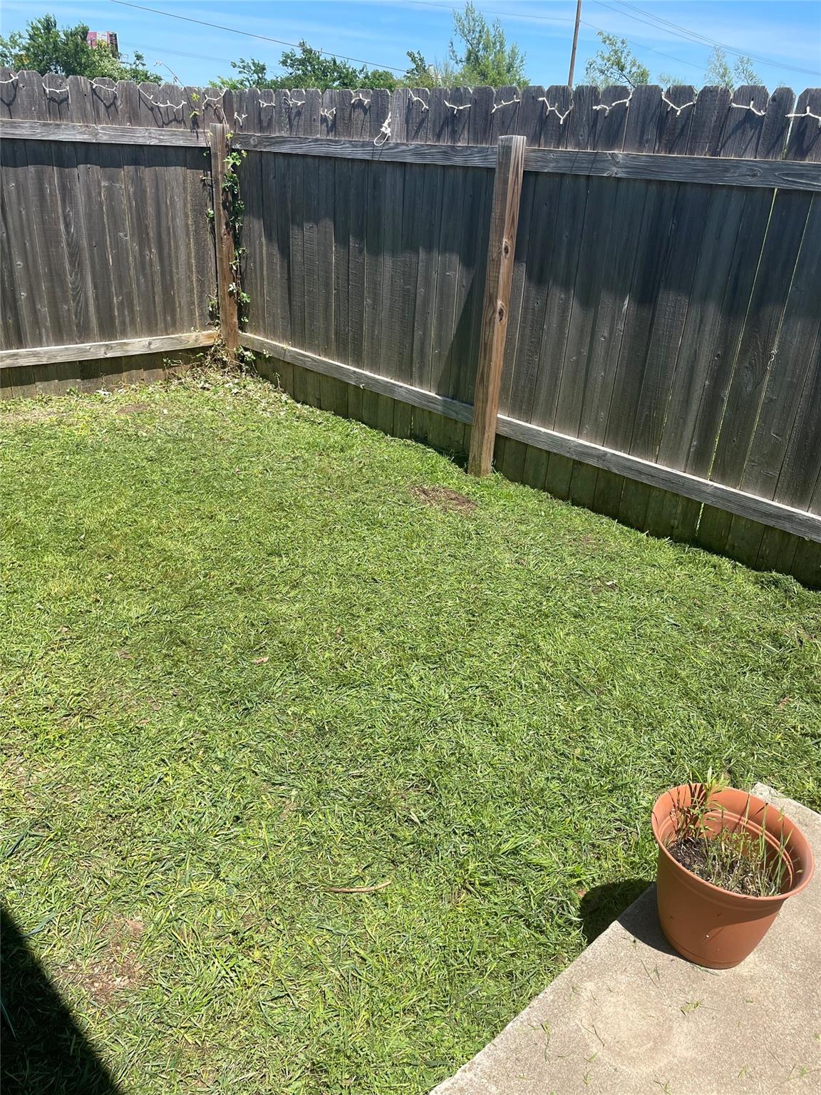 207 Axis Deer Trl, Hutto, TX 78634