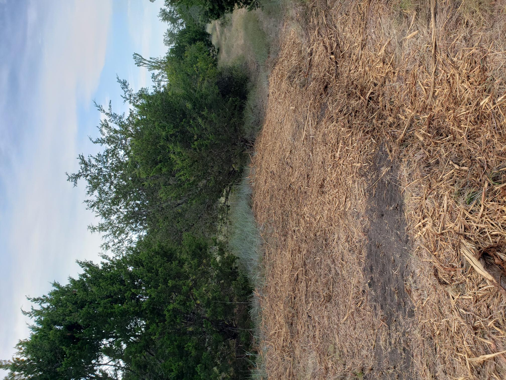 Lot 44 County Road 3640, Lampasas, TX 76522