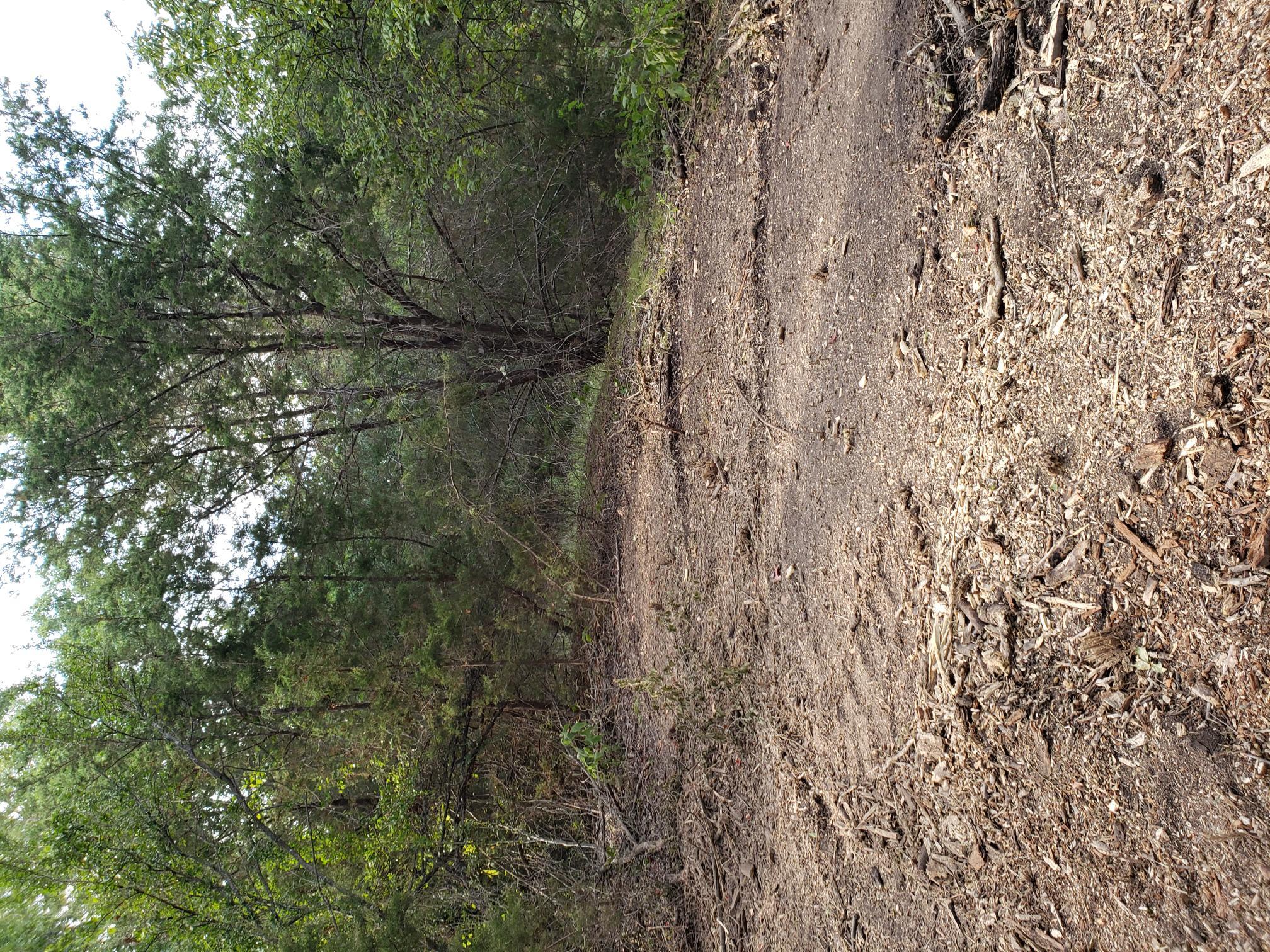 Lot 44 County Road 3640, Lampasas, TX 76522