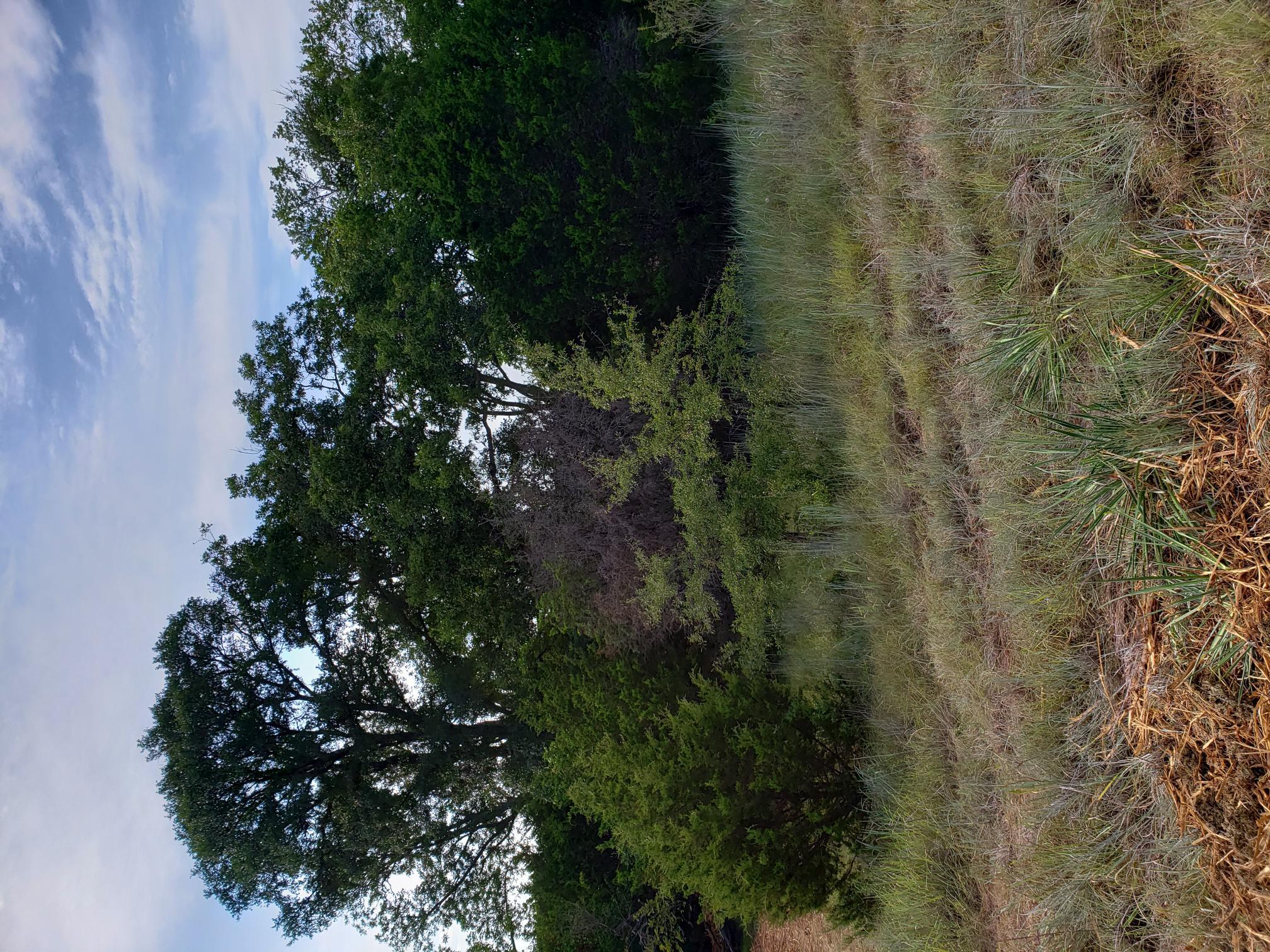 Lot 44 County Road 3640, Lampasas, TX 76522
