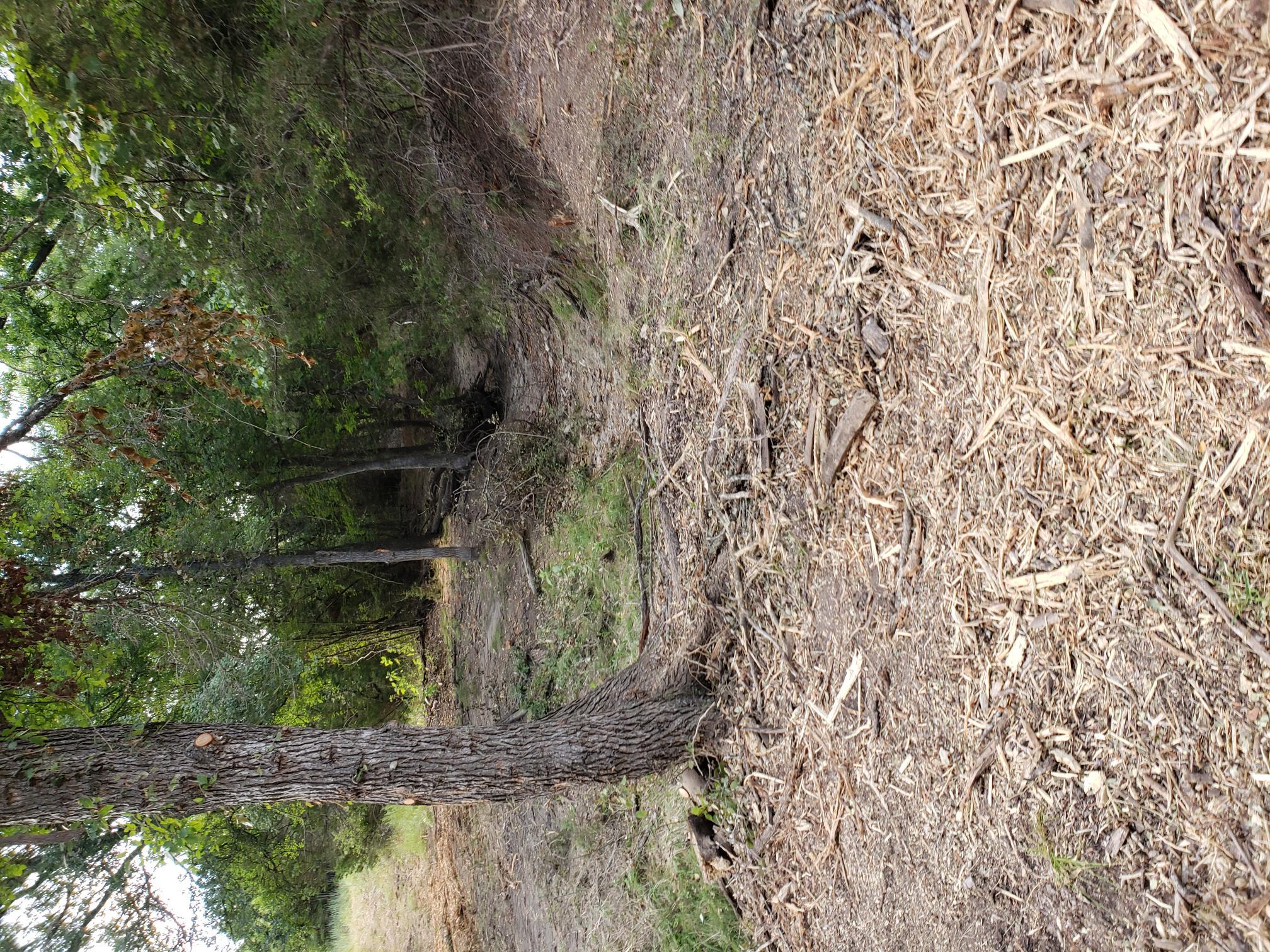 Lot 44 County Road 3640, Lampasas, TX 76522