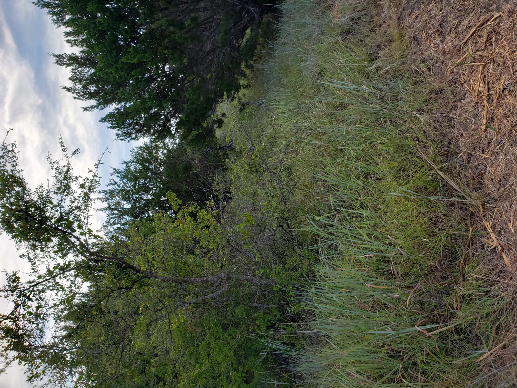 Lot 44 County Road 3640, Lampasas, TX 76522