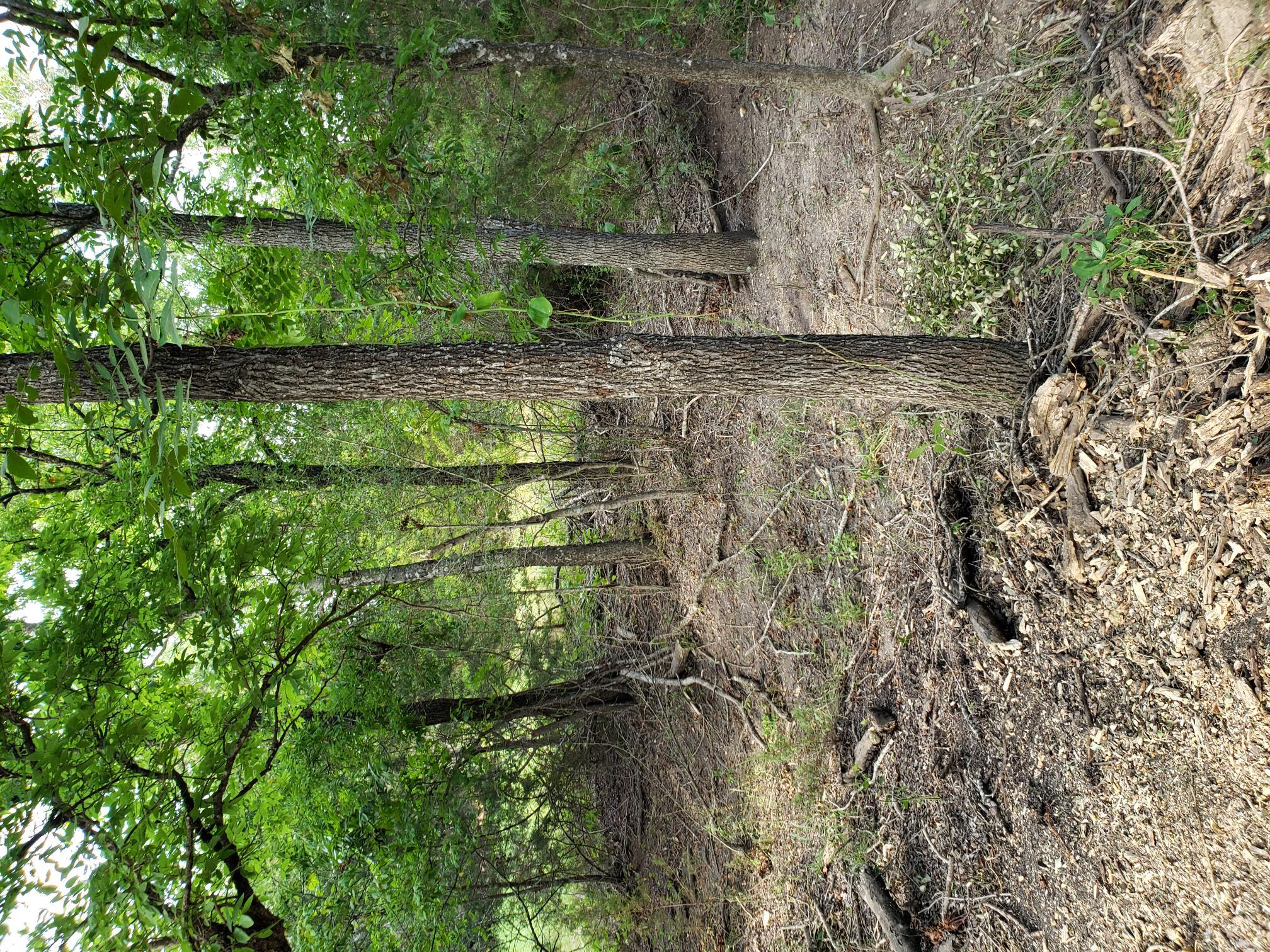 Lot 44 County Road 3640, Lampasas, TX 76522