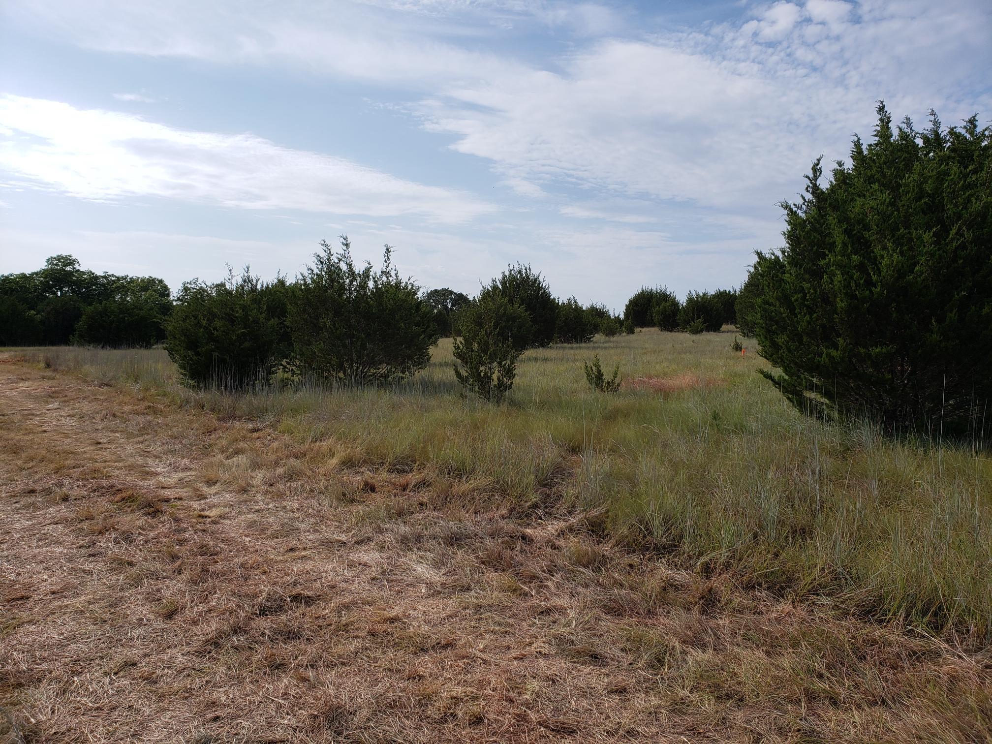 Lot 44 County Road 3640, Lampasas, TX 76522