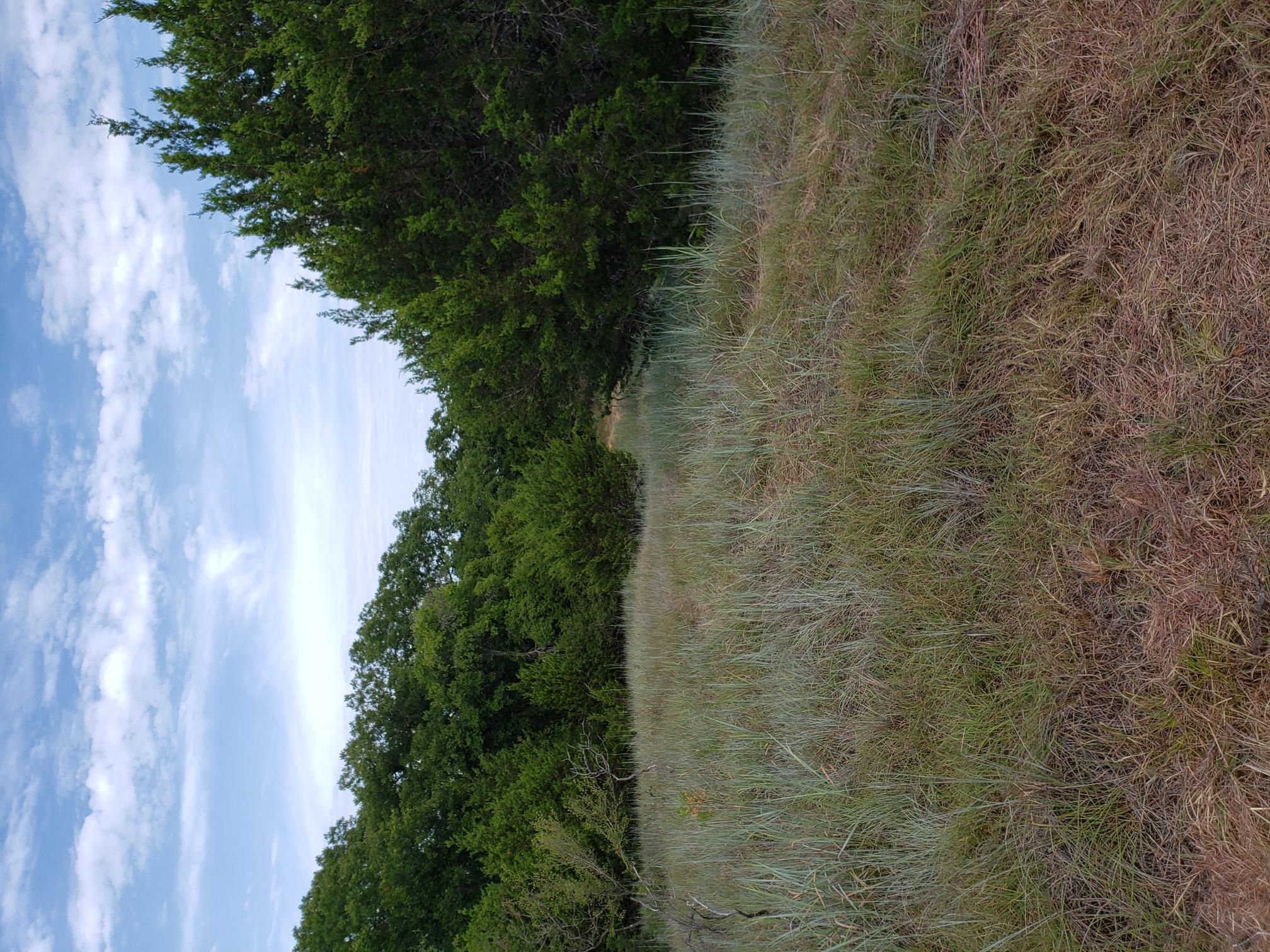 Lot 44 County Road 3640, Lampasas, TX 76522