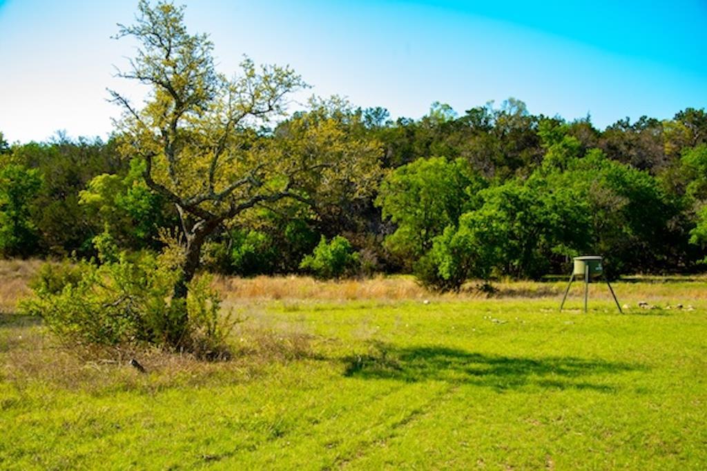 203 Rheingold School Rd, Fredericksburg, TX 78624