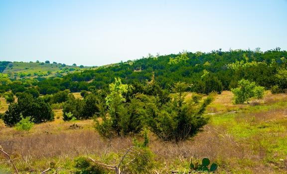 203 Rheingold School Rd, Fredericksburg, TX 78624