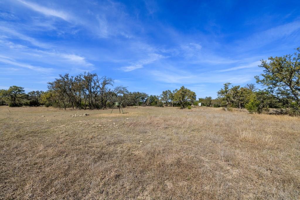 203 Rheingold School Rd, Fredericksburg, TX 78624