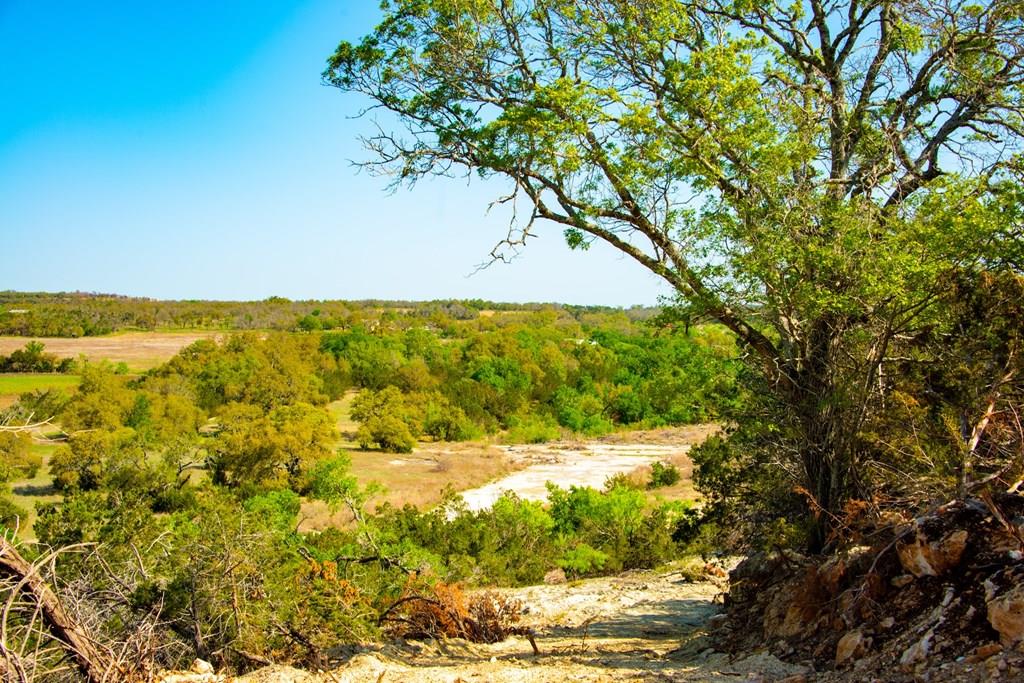 203 Rheingold School Rd, Fredericksburg, TX 78624