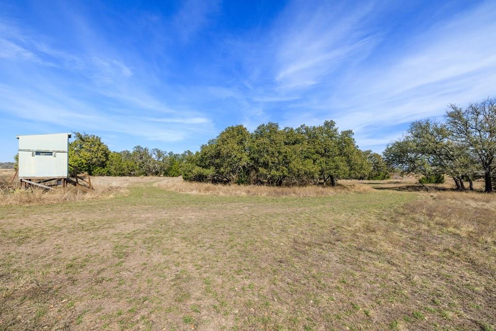203 Rheingold School Rd, Fredericksburg, TX 78624