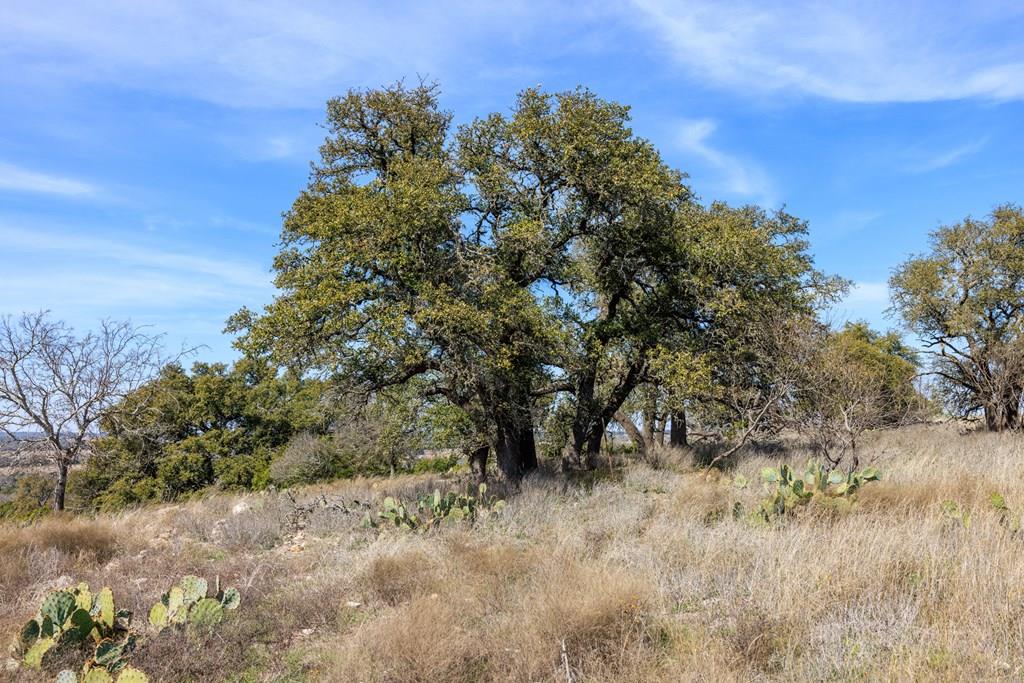 203 Rheingold School Rd, Fredericksburg, TX 78624