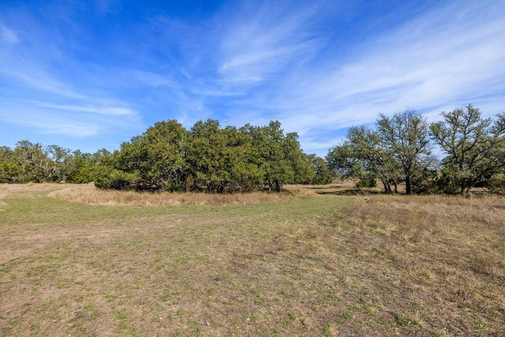 203 Rheingold School Rd, Fredericksburg, TX 78624