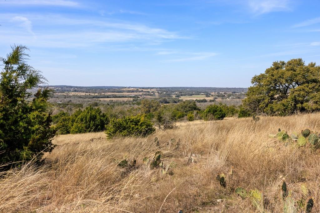 203 Rheingold School Rd, Fredericksburg, TX 78624