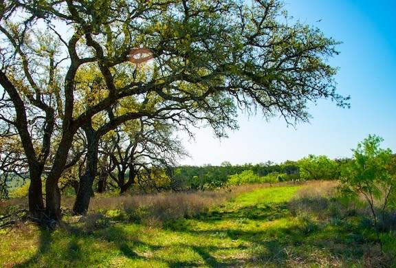 203 Rheingold School Rd, Fredericksburg, TX 78624