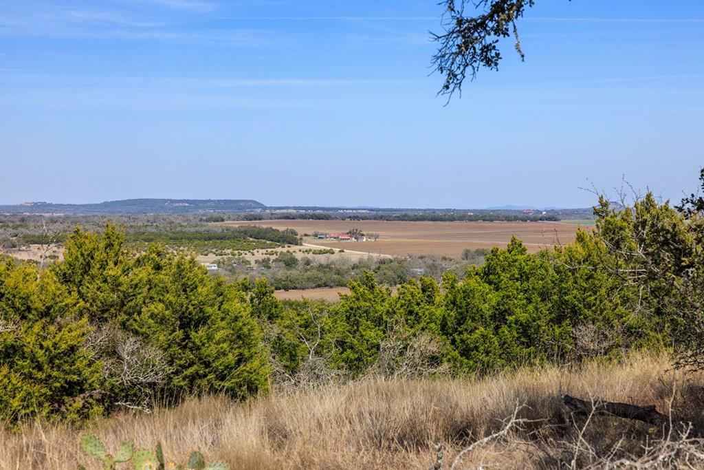 203 Rheingold School Rd, Fredericksburg, TX 78624