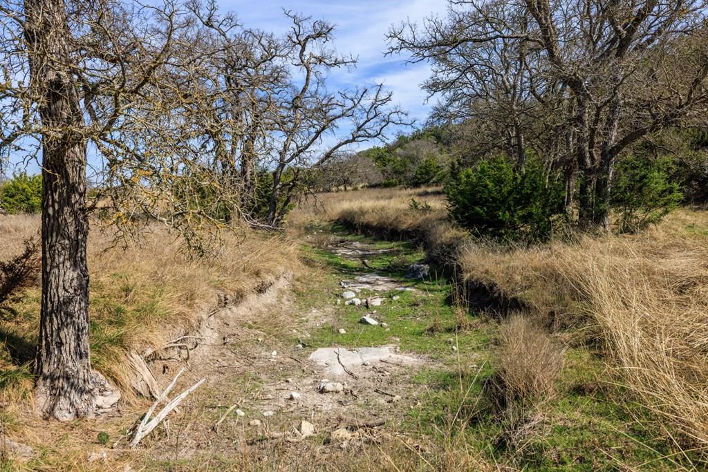 203 Rheingold School Rd, Fredericksburg, TX 78624