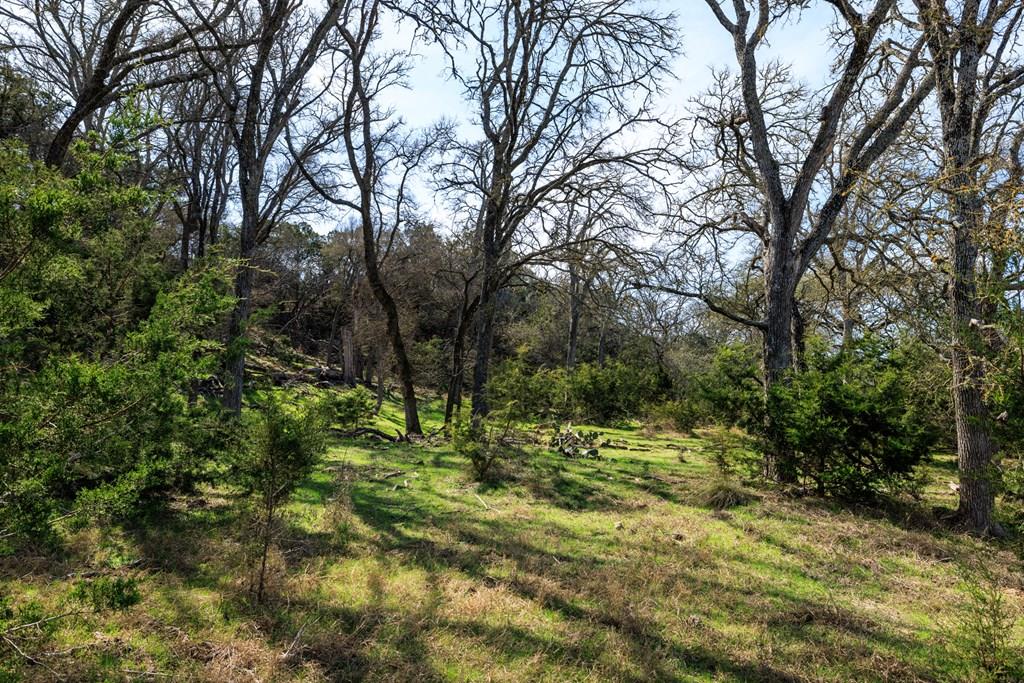 203 Rheingold School Rd, Fredericksburg, TX 78624