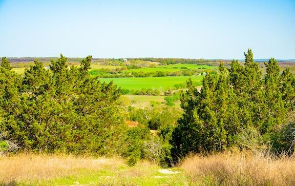 203 Rheingold School Rd, Fredericksburg, TX 78624