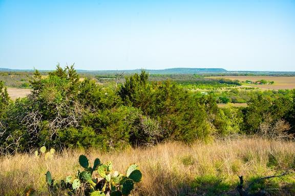 203 Rheingold School Rd, Fredericksburg, TX 78624