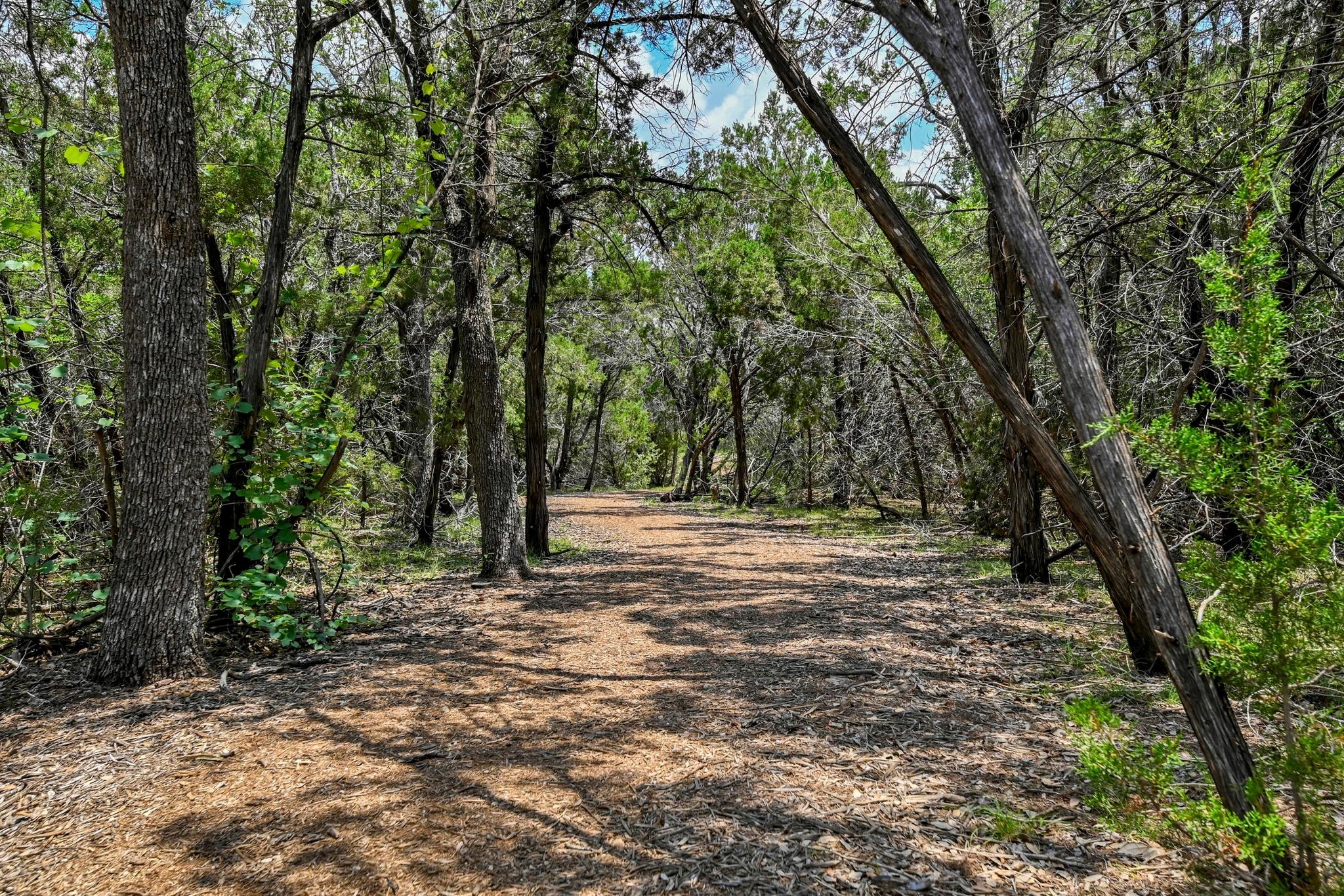 1917 Woolsey Way, Leander, TX 78641