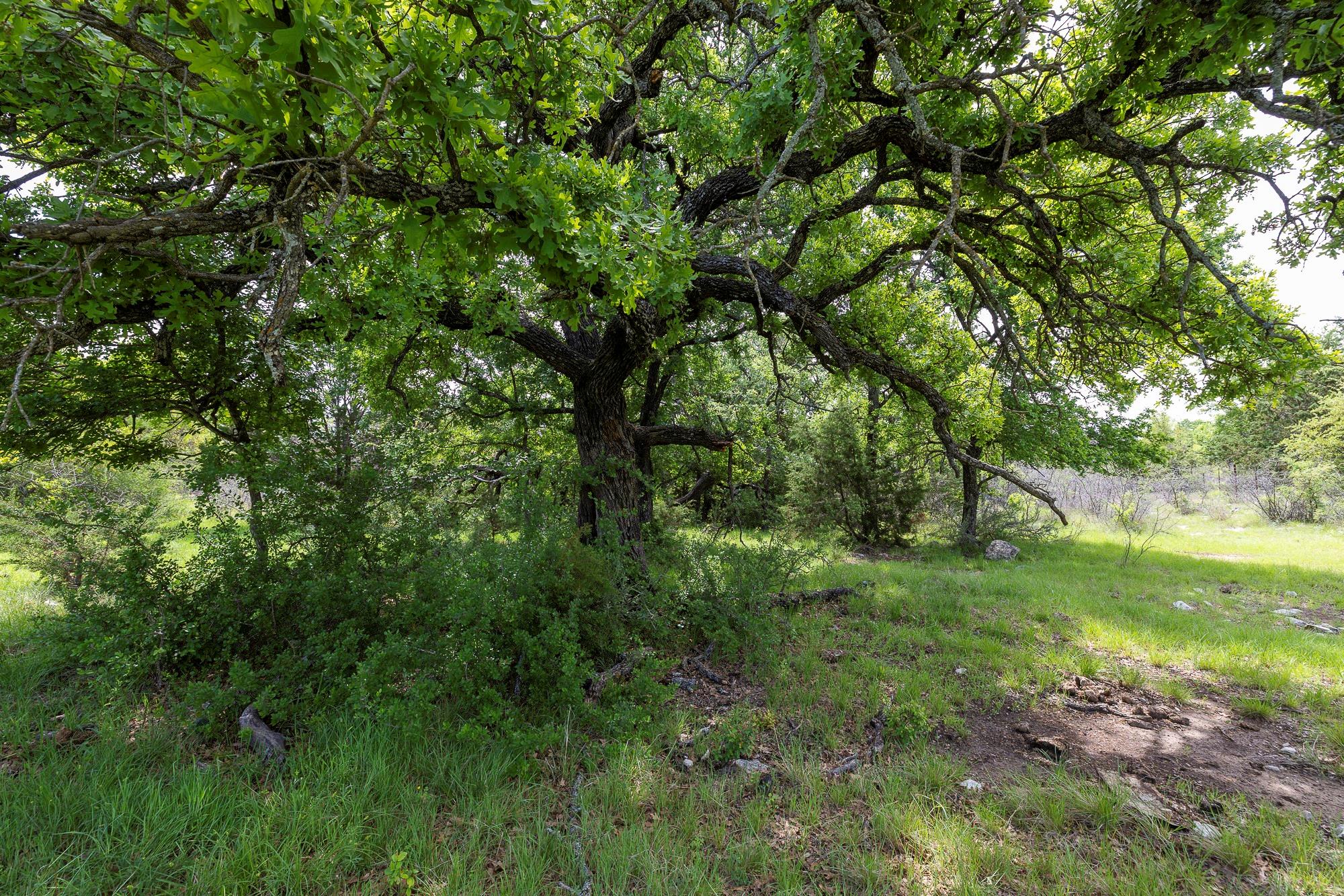 525 Jack Rabbit Cir, Zephyr, TX 76890