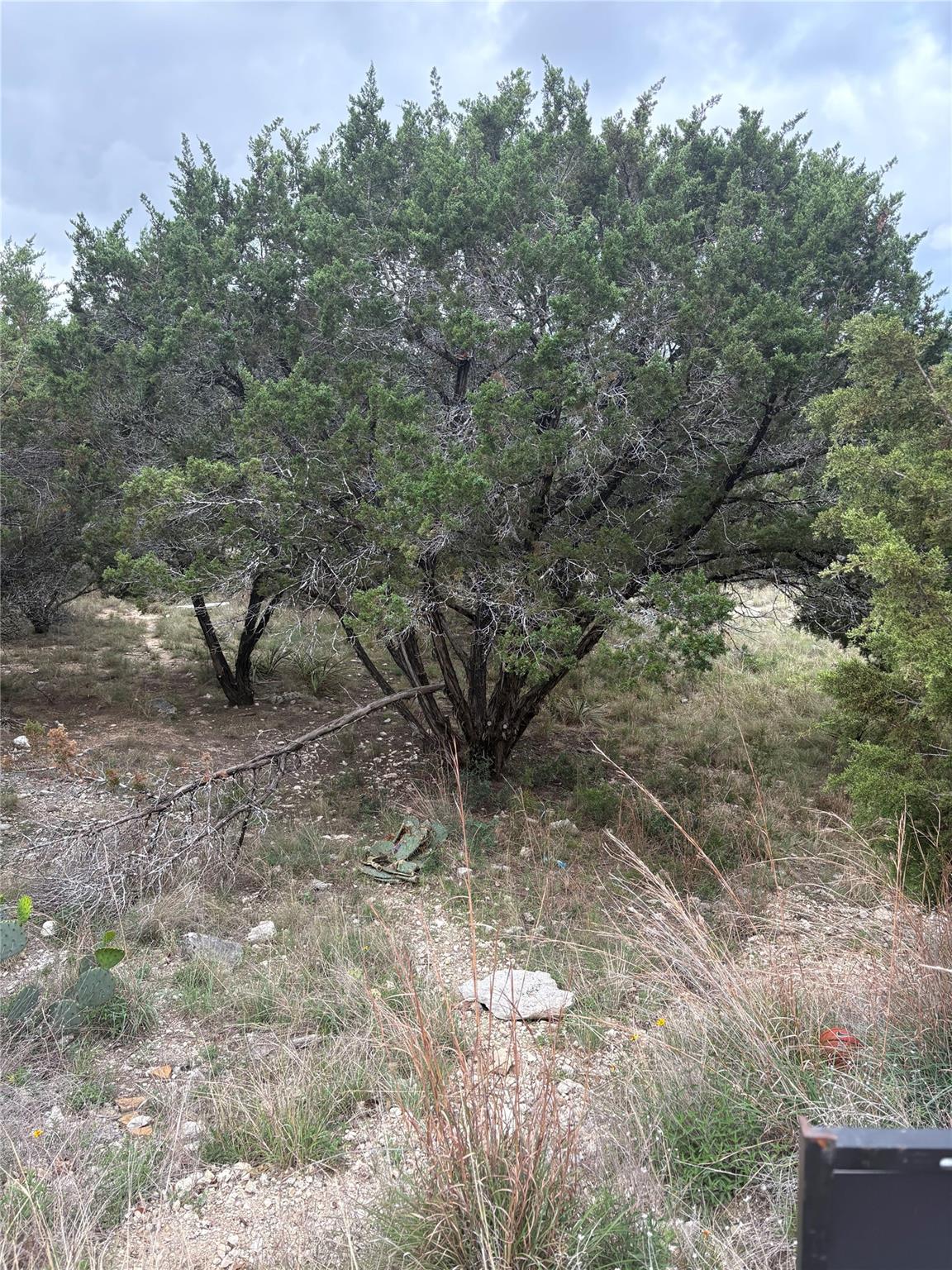 20907 Magellan Cv, Lago Vista, TX 78645