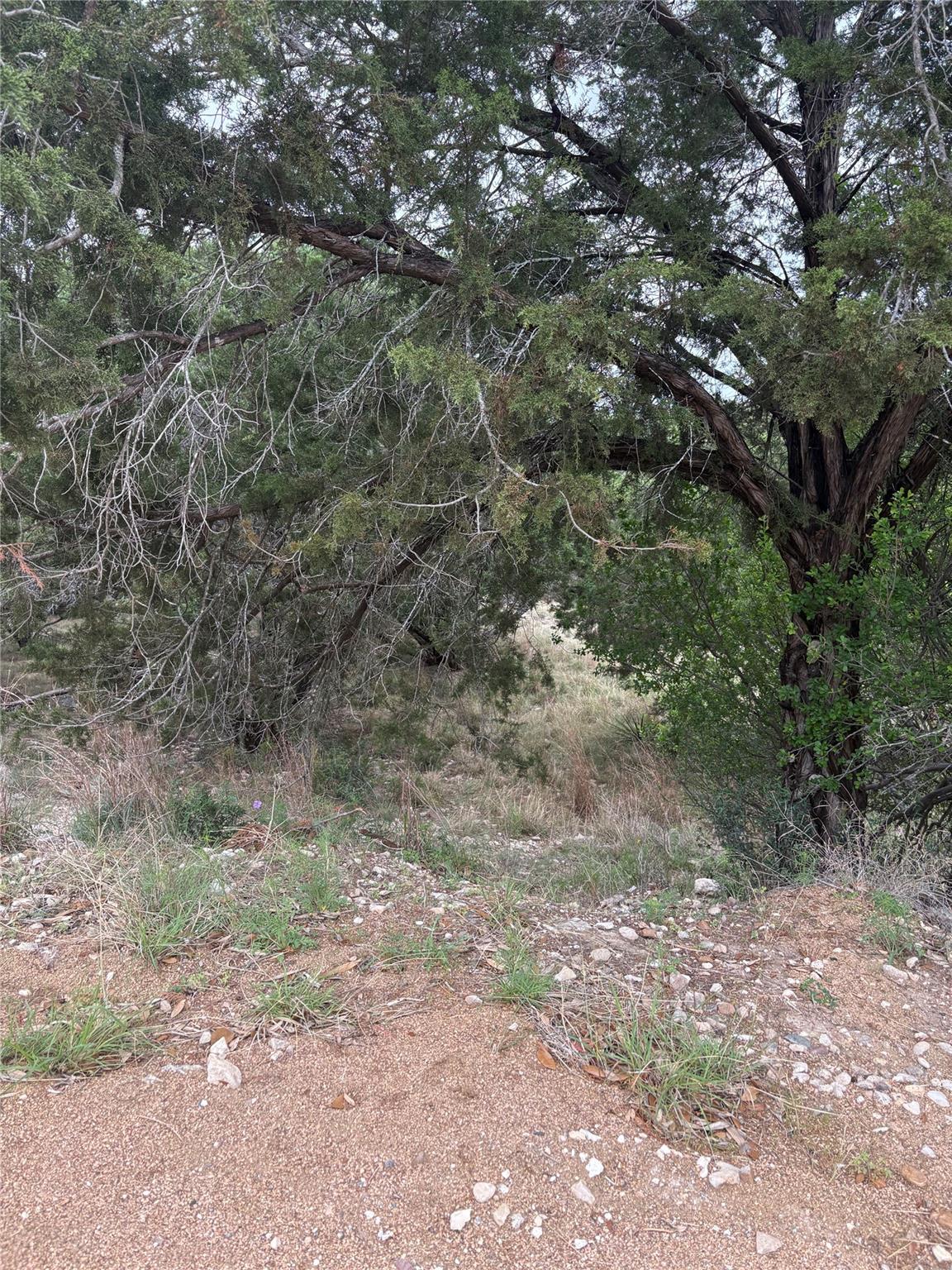 20907 Magellan Cv, Lago Vista, TX 78645