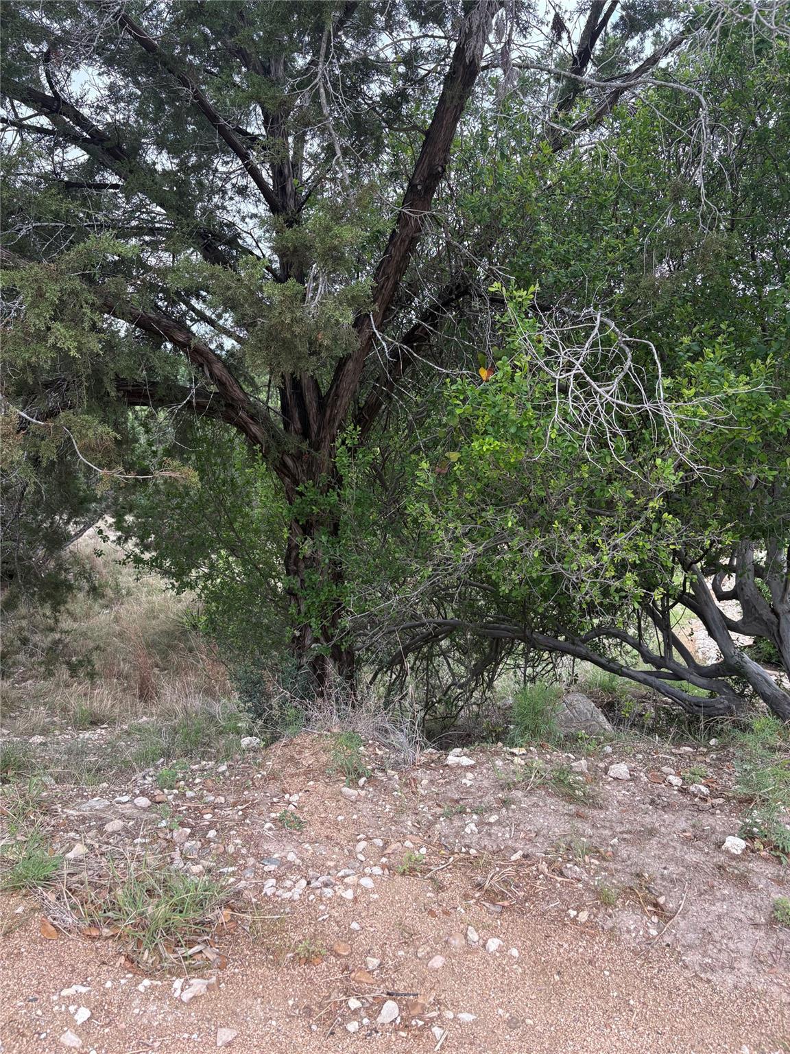 20907 Magellan Cv, Lago Vista, TX 78645