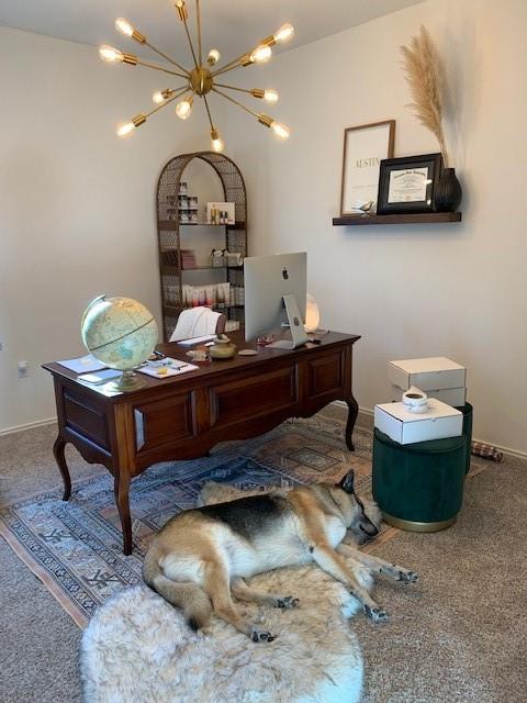 7109 Spirit Hill Rd, Austin, TX 78744