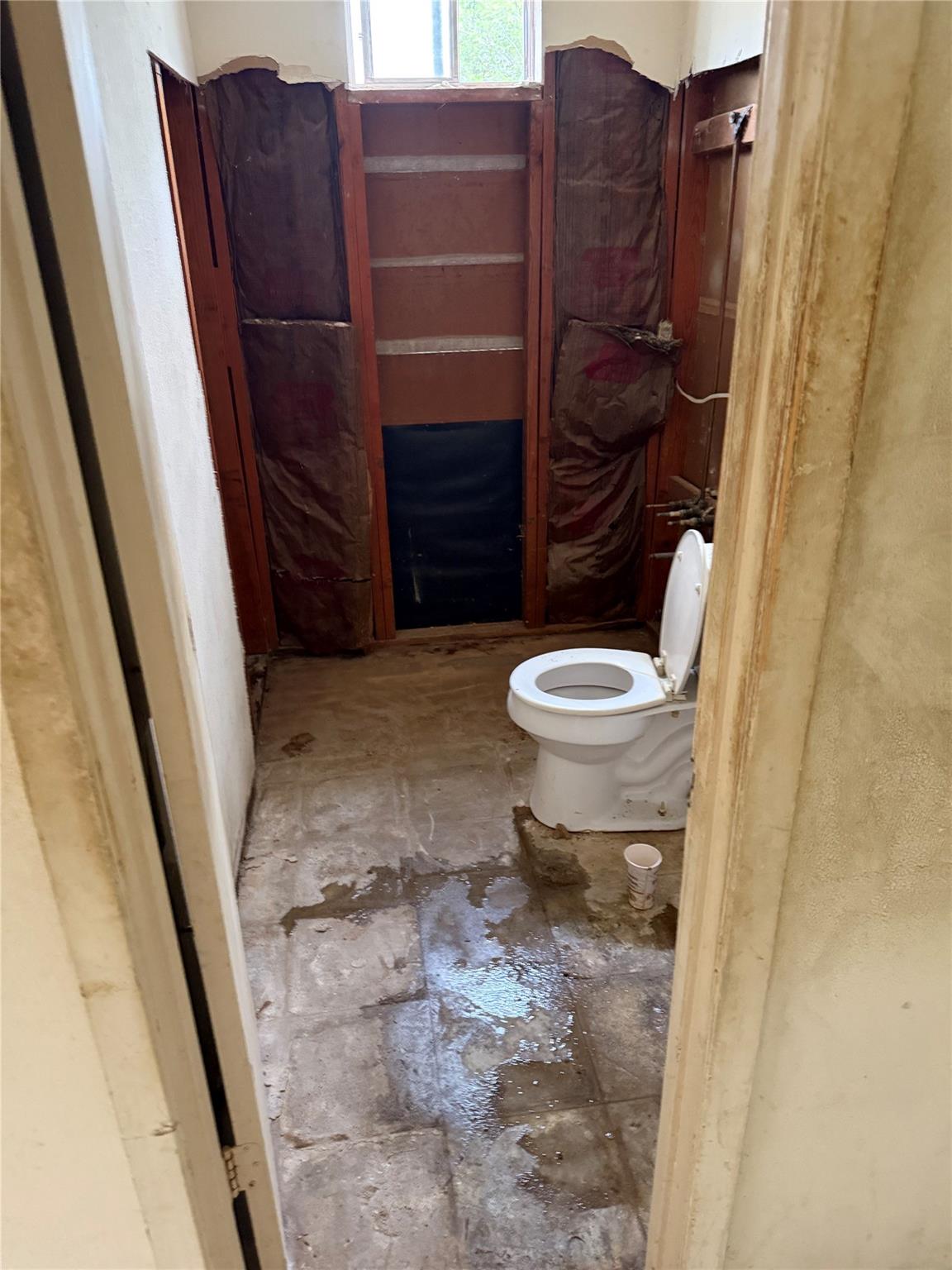 1303 Falcon Cv, Austin, TX 78745