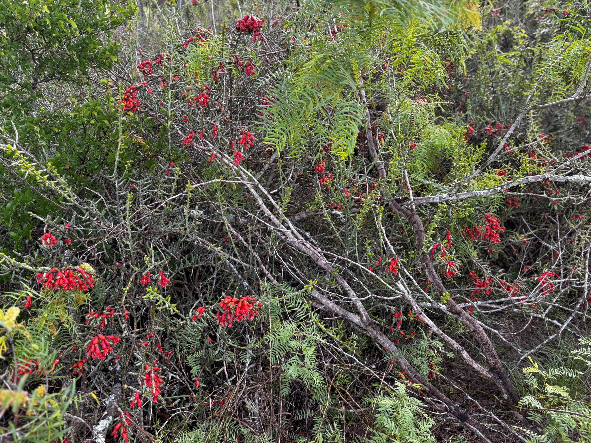 747 County Road 467, Thrall, TX 76578