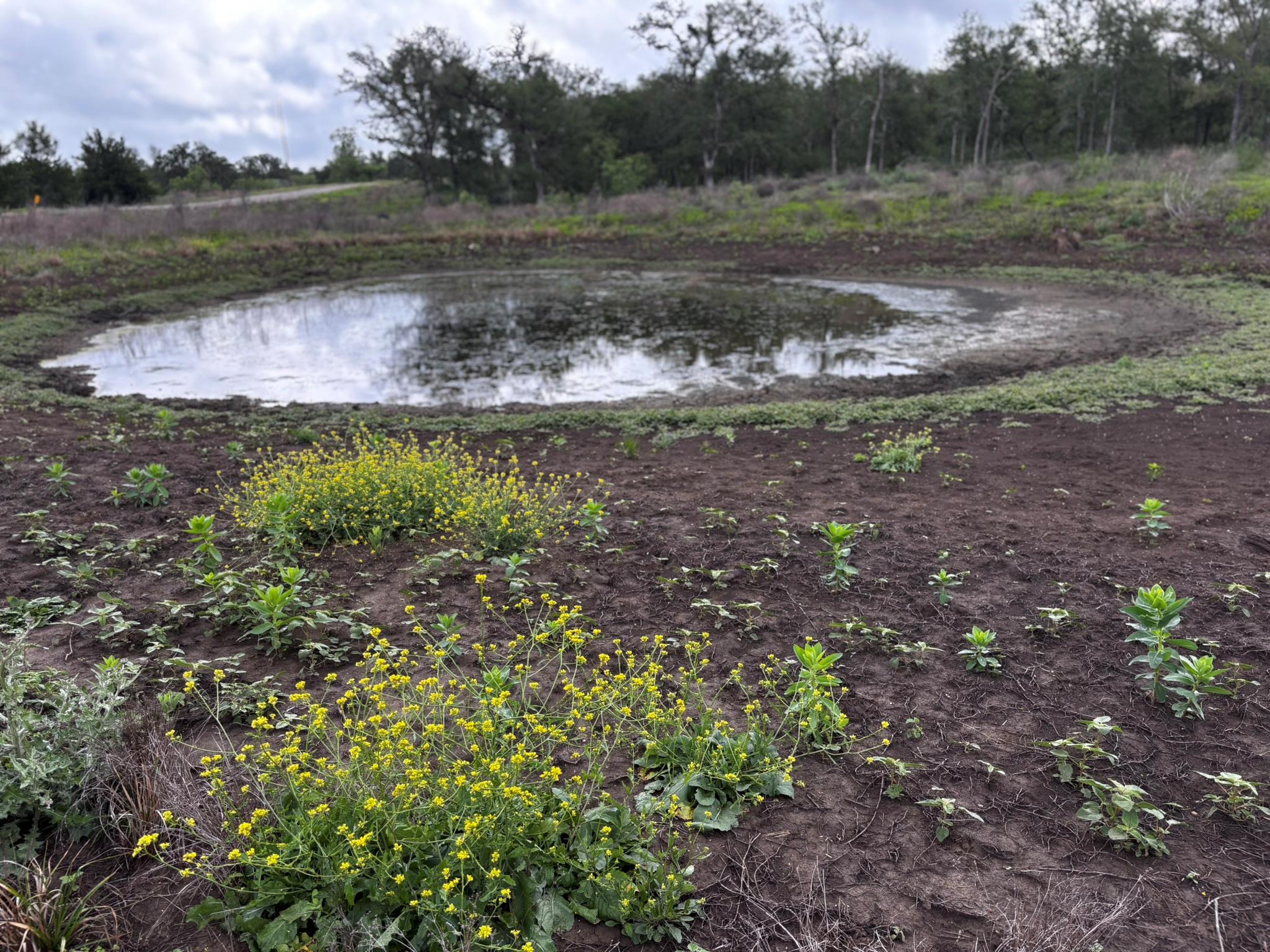 747 County Road 467, Thrall, TX 76578